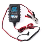 Cargador batería SMART 1